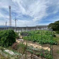 鳥栖市幡崎町　売地　42坪 画像7
